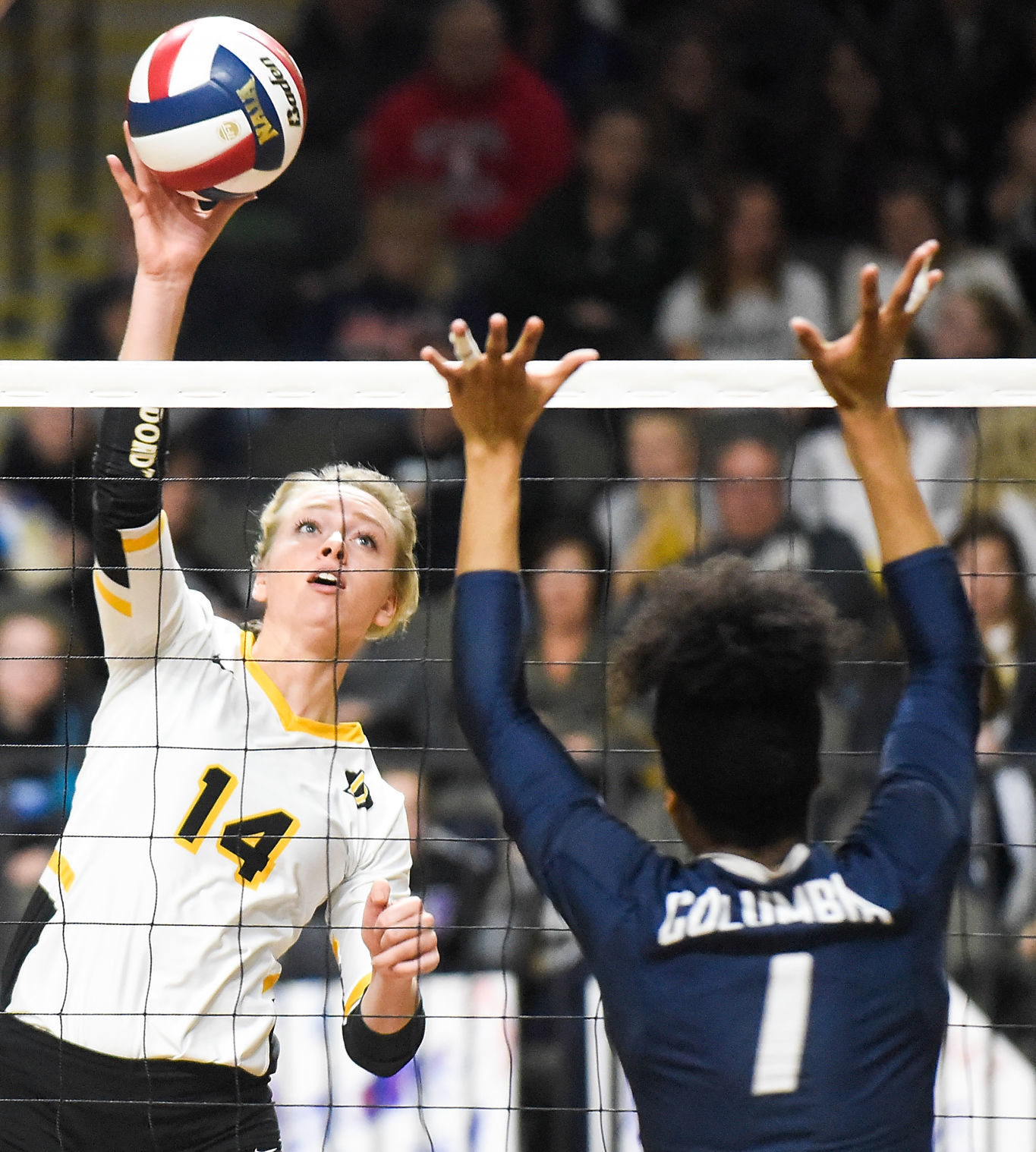 Volleyball NAIA Dordt vs. Columbia